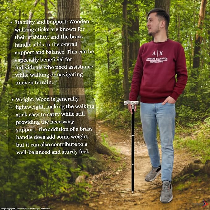 Elegant walking stick, perfect gift for Halloween and collectors