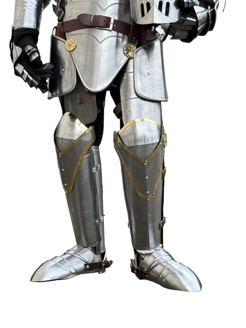 Rear view of Aegis Prime medieval armor showing gold detailing and articulated steel plates