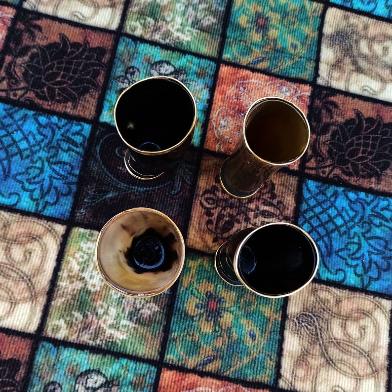 Beer Stein alternative horn shot glass perfect for medieval bar gift set