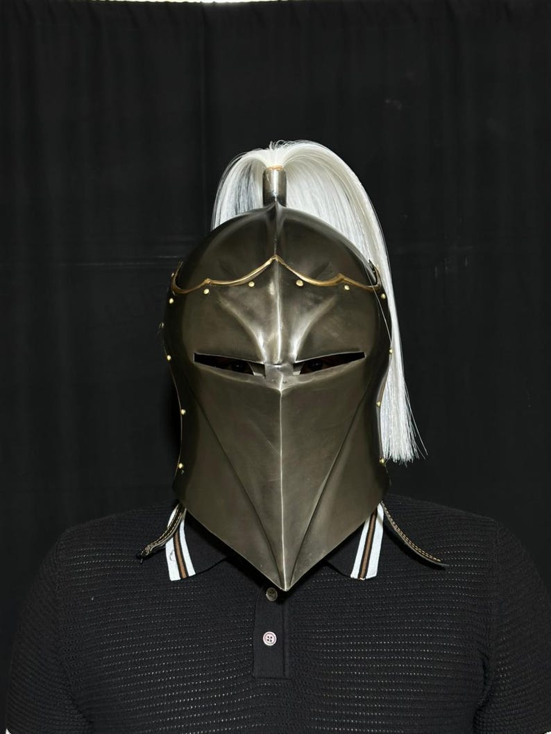 Handcrafted Medieval Steel Helmet with Plume showcasing premium steel finish and decorative feather design